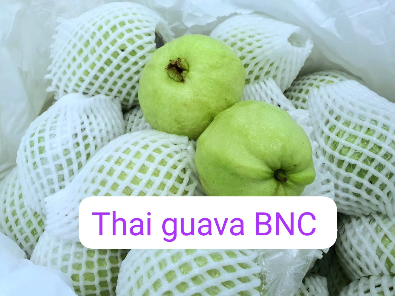 Thai Guava